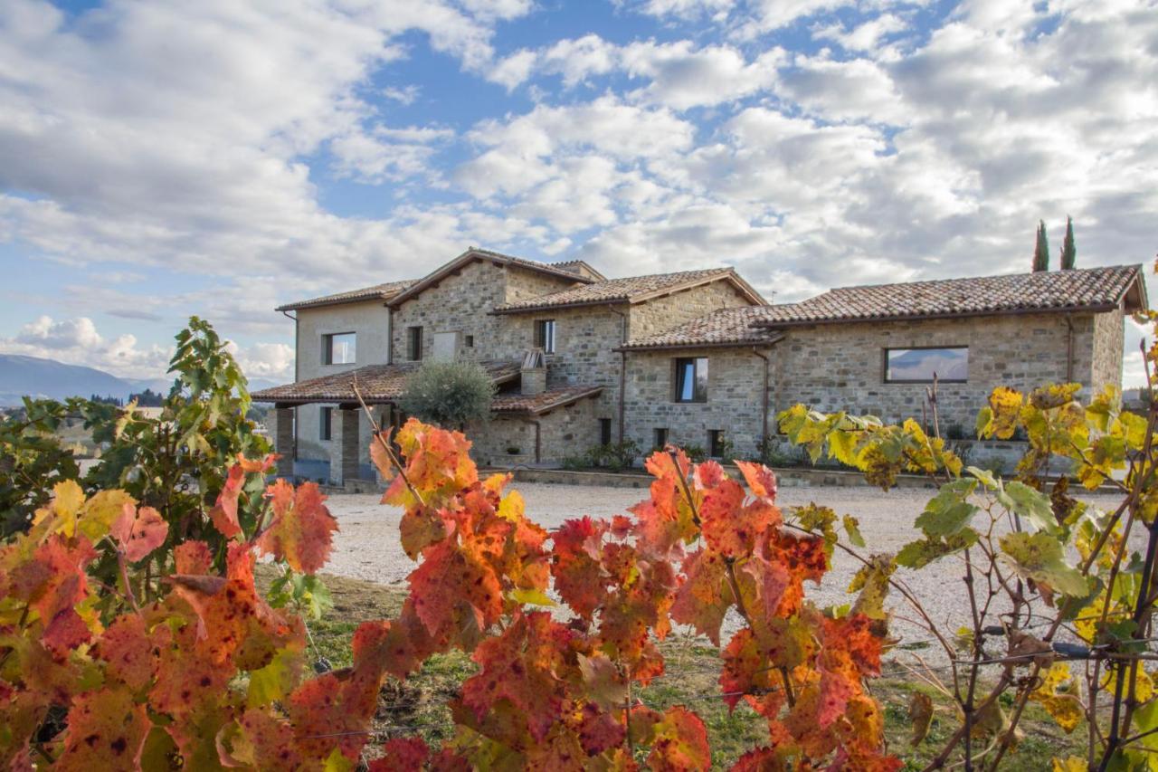 Vila Fattoria Colsanto Torre del Colle Exteriér fotografie